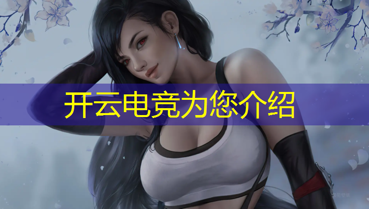 kaiyun·开云电竞为您介绍：联盟电竞玩家汉化破解版