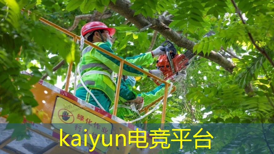 kaiyun电竞官方网站入口：猜的游戏小程序有哪些名字