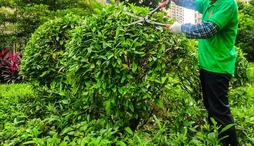 kaiyun电竞平台：游戏的乐园小程序下的游戏