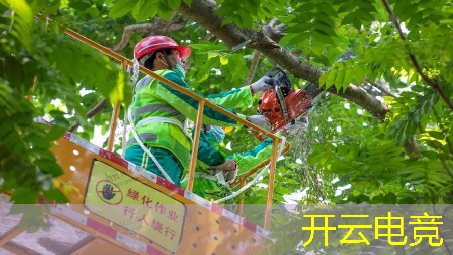 kaiyun·电竞：友塔游戏原画设计师