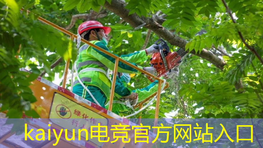 双人枪战3d小游戏六关