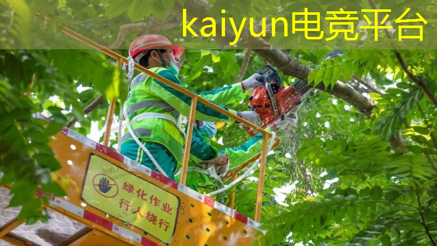 kaiyun·电竞：无双小乔游戏3d建模