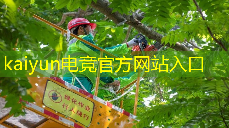 kaiyun电竞平台：小程序目击证人游戏叫什么
