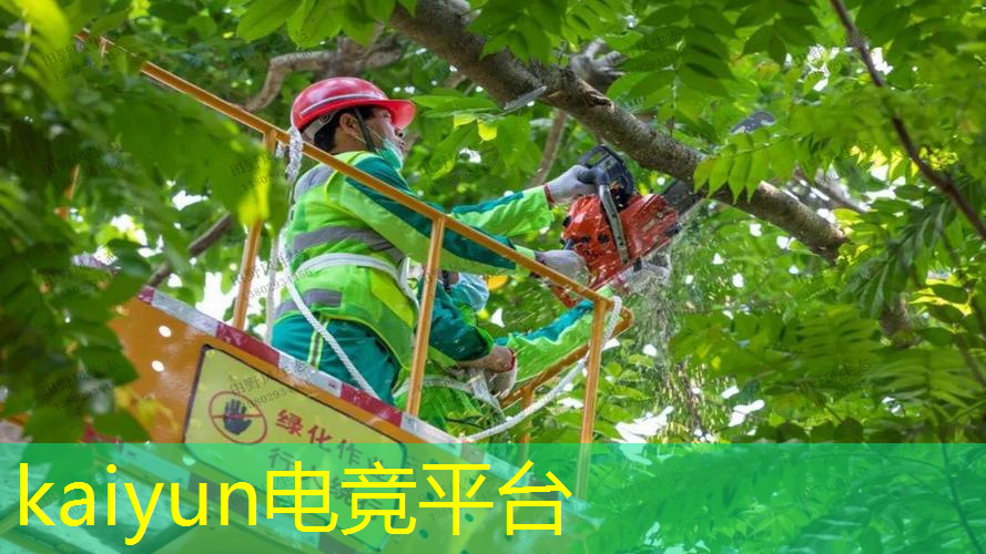 浙江萧山游戏原画设计师