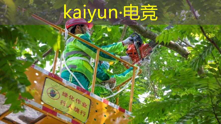 kaiyun电竞官方网站入口：3d校园埋尸游戏