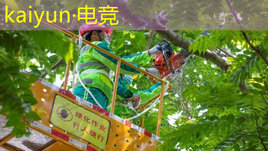 kaiyun电竞平台：游戏解说3d自由