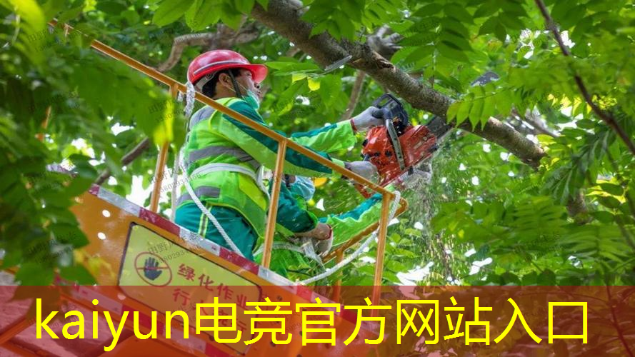 伊宁市3d游戏厅地址查询