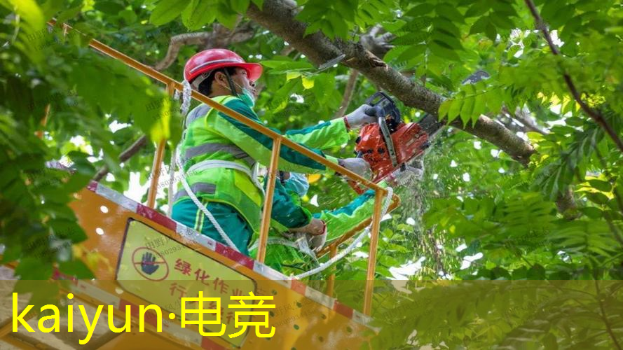 双人枪战3d小游戏六关