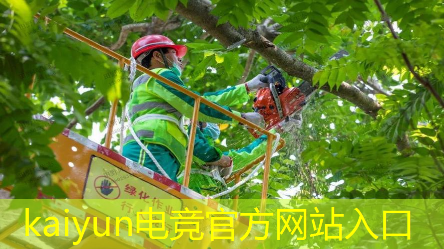 无双小乔游戏3d建模