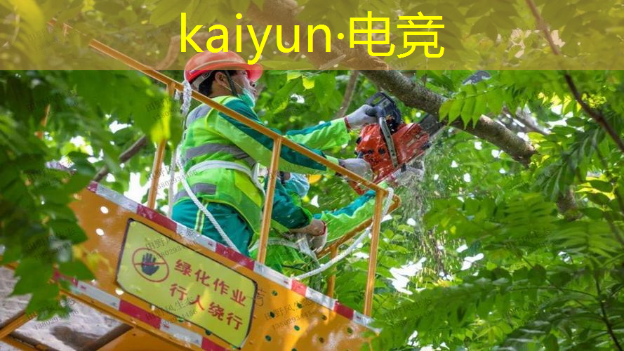 原画游戏角色设计软件有哪些