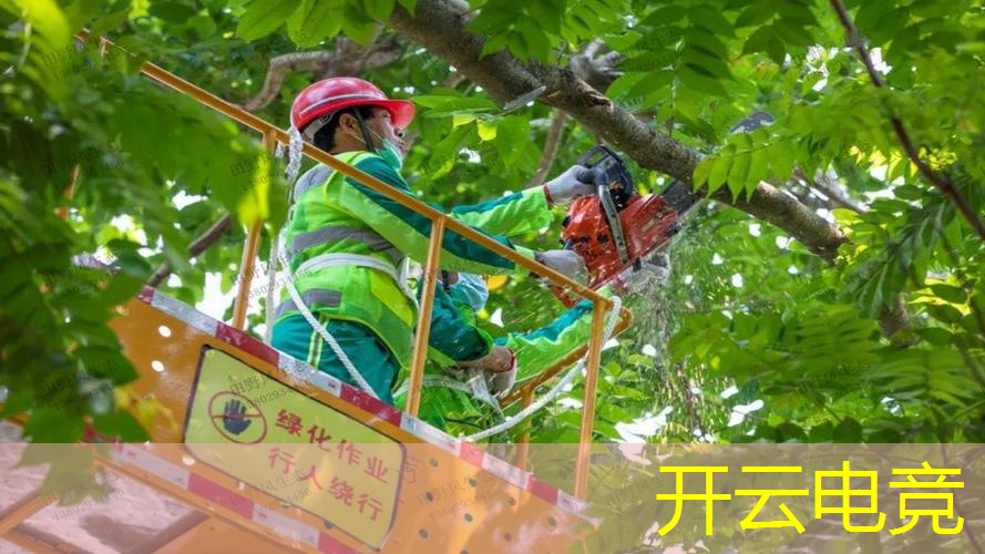 小程序目击证人游戏叫什么