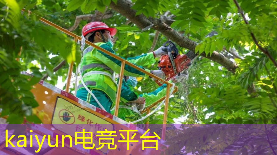 木工高手小游戏 程序攻略