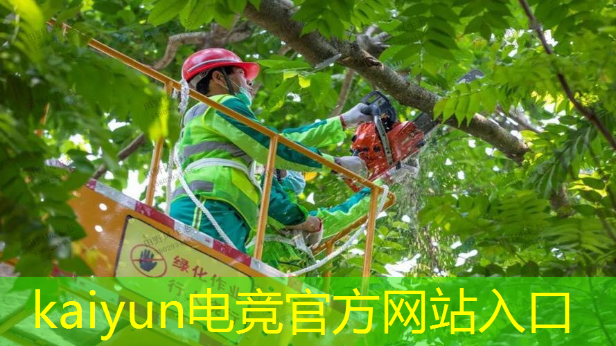 3d校园埋尸游戏