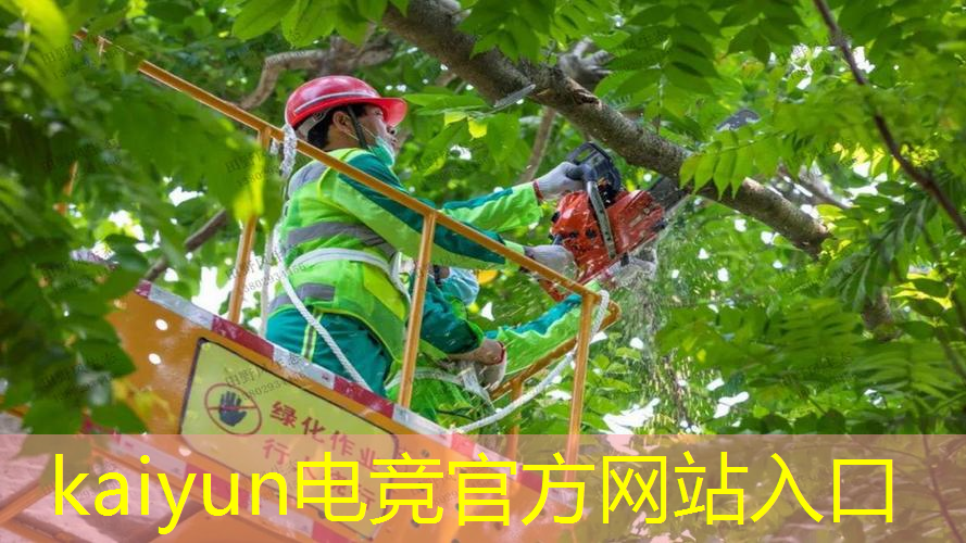 游戏解说3d自由
