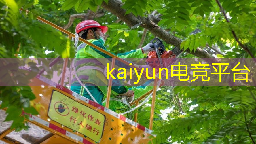 火柴人战争游戏原画大全