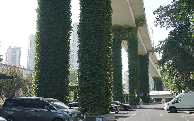 考试模拟3d游戏怎么样才能解锁所有车