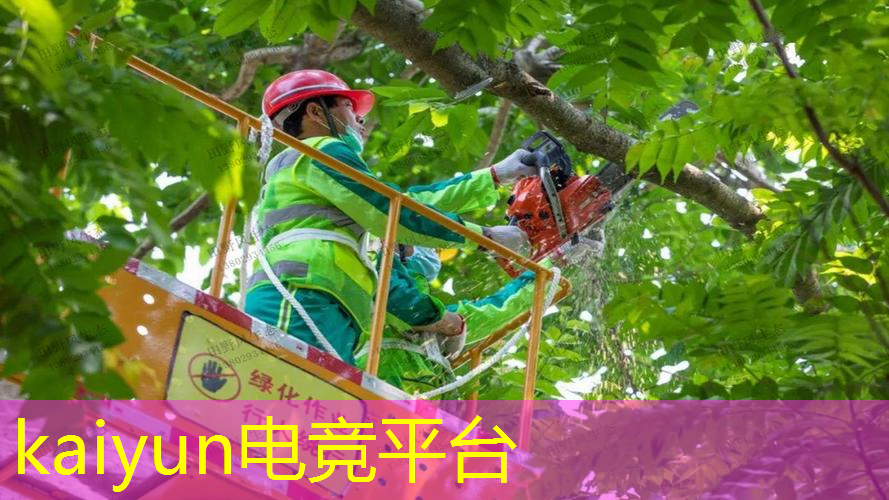 伊宁市3d游戏厅地址查询
