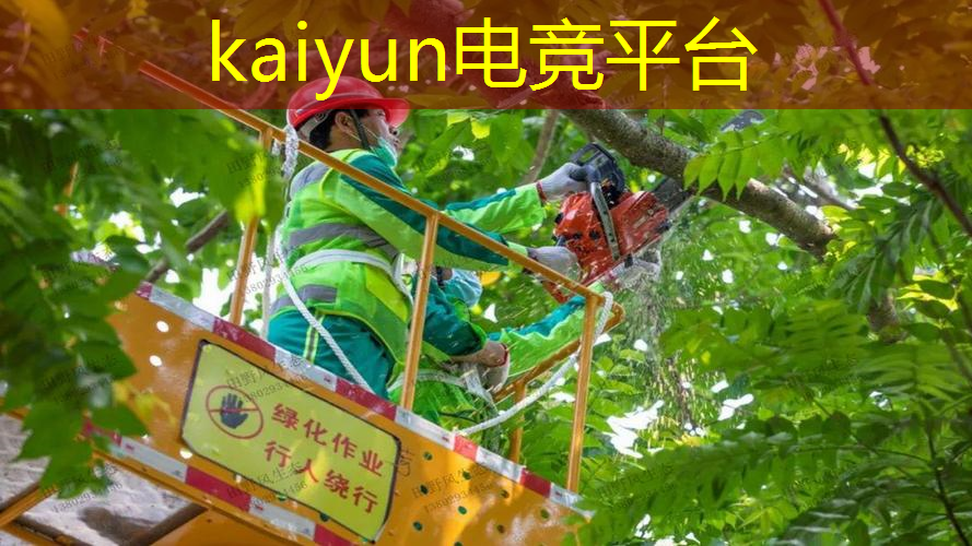 贪吃蛇乐园小游戏入口3d